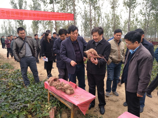 我院与鹤壁市人民政府签署院市战略合作框架协议我院在延津县举行