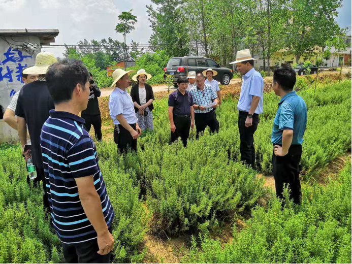 梁慧珍书记到信阳市调研中药材产业 河南省农业科学院